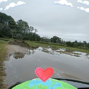 Meet your Posher, Anne